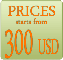  Hair Transplantation Prices Starts From 300 USD 